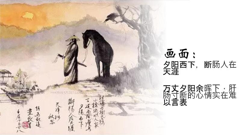 《天净沙秋思》马致远课件PPT第7页