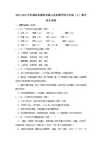 湖南省衡阳市衡山县星源学校2022-2023学年七年级上学期期中语文试卷(含答案)