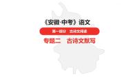 中考总复习语文古诗词曲鉴赏专题第8首  望岳课件