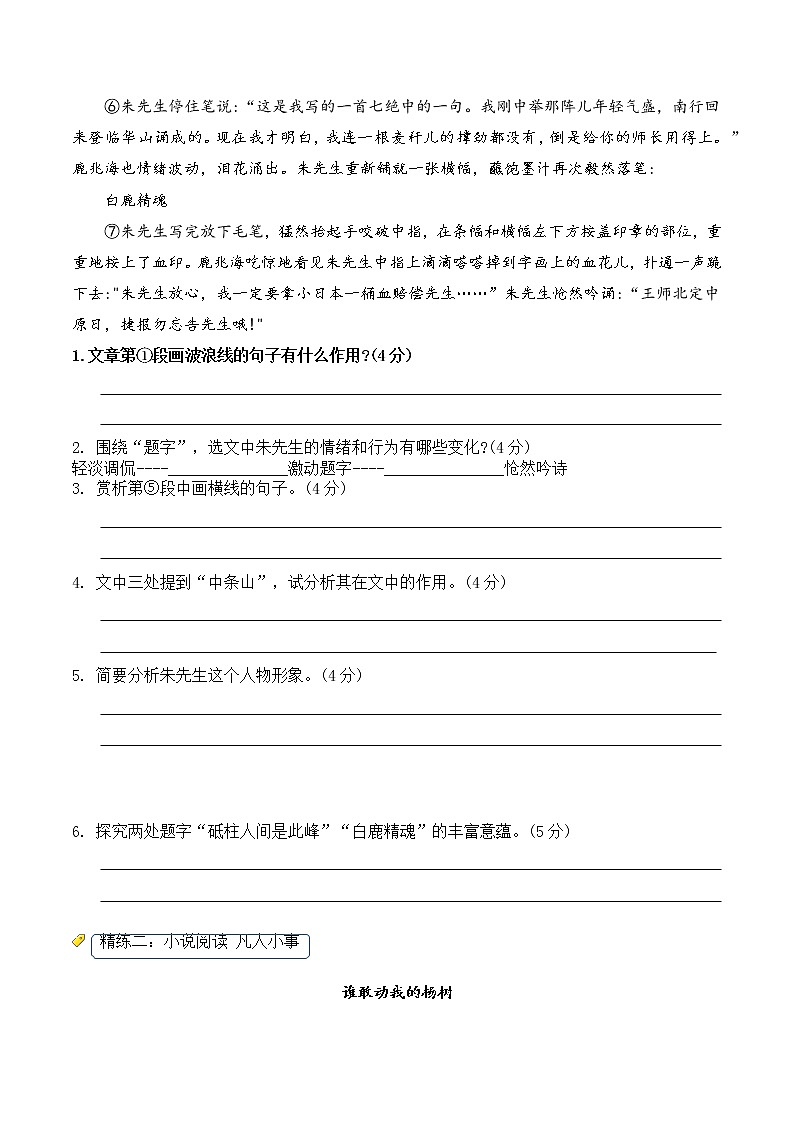 2023年中考语文二轮复习【记叙文】考点十:环境描写的作用(学生版)第3页