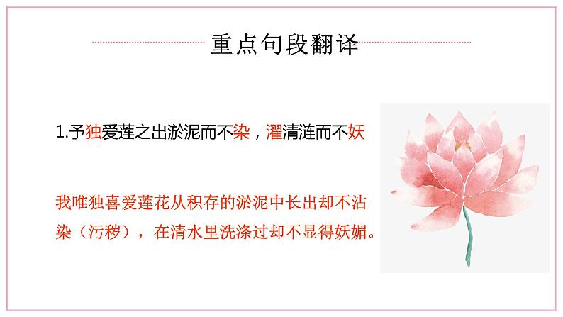 爱莲说 课件第8页