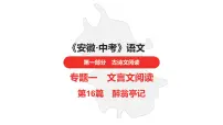 中考总复习语文古诗文阅读专题-文言文阅读16.醉翁亭记课件