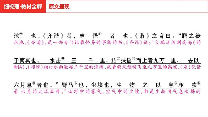 中考总复习语文(河南)古诗文专题一文言文默写与阅读20.北冥有鱼课件第6页