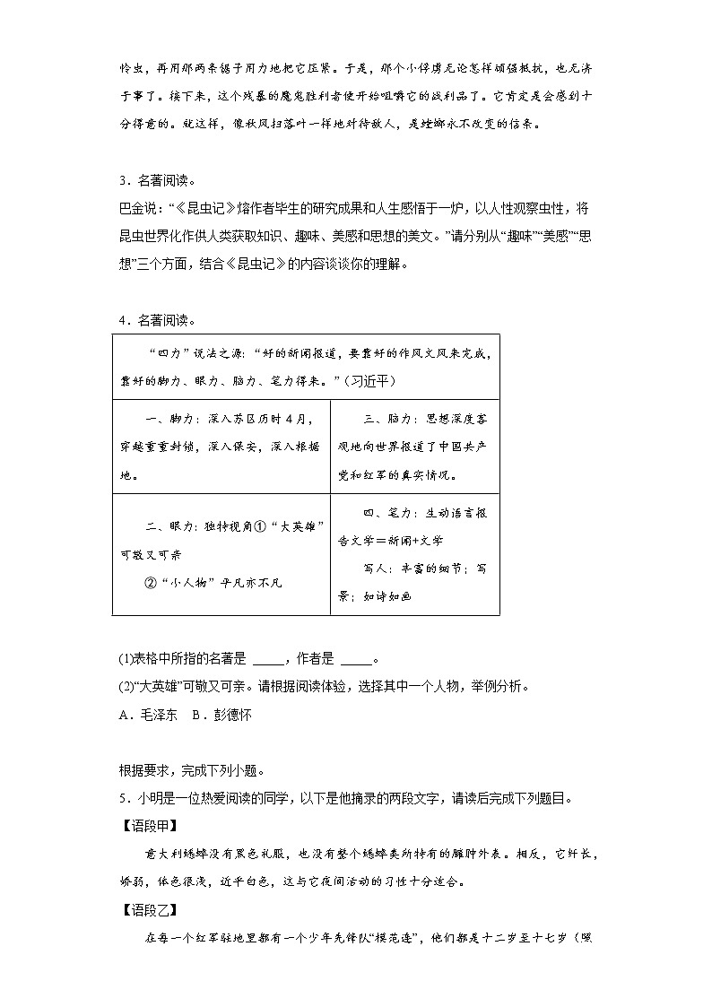 部编版语文八年级上册期末专项复习——名著(原卷版)第2页