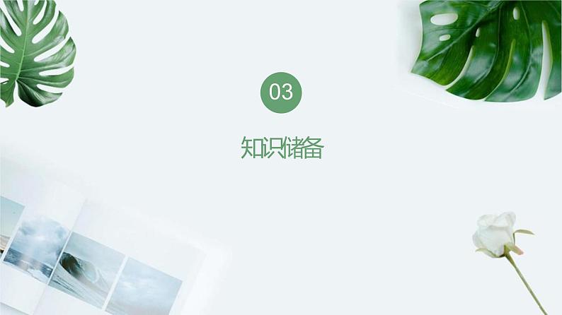 【期末专题复习】2022-2023学年 部编版语文 九年级上学期:专题06-文学类文本阅读(知识串讲)第7页
