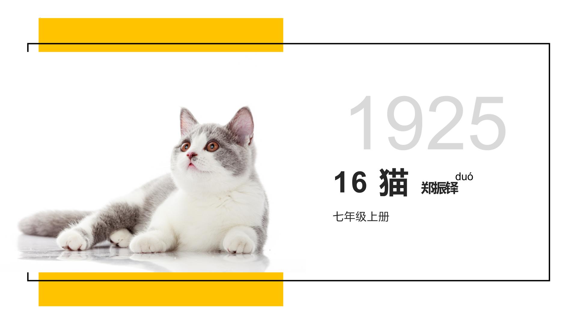 初中语文人教部编版 (五四制)七年级上册（2018）16 猫教案配套课件ppt