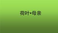 初中语文人教部编版七年级上册荷叶·母亲教学课件ppt