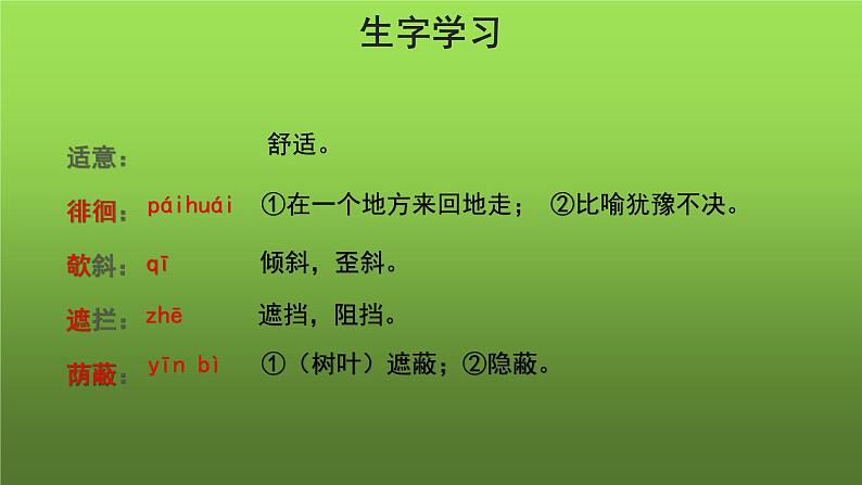 《荷叶 母亲》同课异构教学课件第6页