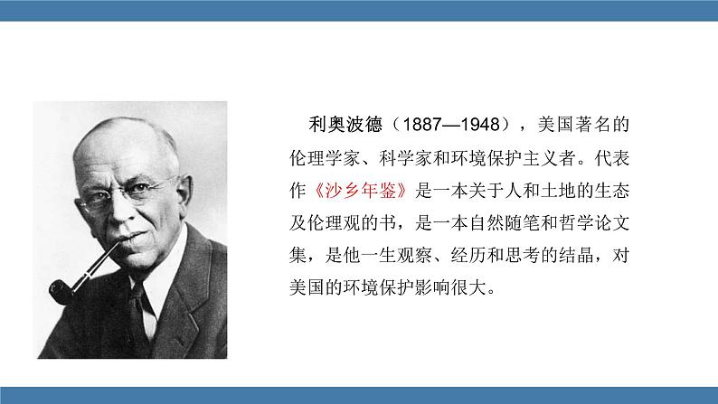 部编版八年级语文下册课件 第二单元 7大雁归来第4页