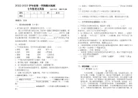 浙江省金华市2022-2023学年七年级上学期语文期末试卷(含答案)