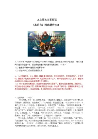 语文九年级上册名著导读(二) 《水浒传》:古典小说的阅读精品达标测试