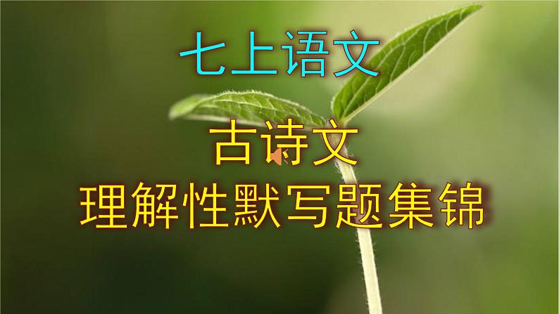 七上语文古诗文理解性默写题集锦课件PPT01