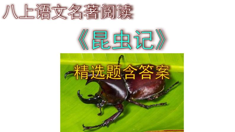 八上语文名著阅读《昆虫记》精选题含答案课件PPT01