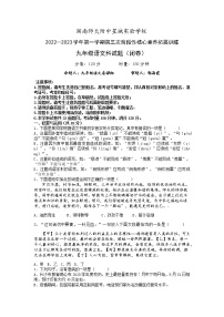 湖南师大附中星城实验学校2022-2023学年九年级上学期第三次核心素养检测语文试卷(含答案)