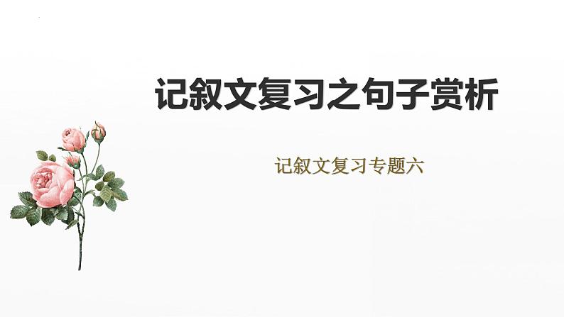 2023年中考语文一轮复习《记叙文复习之句子赏析》课件01