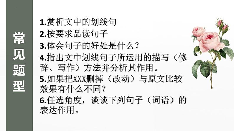 2023年中考语文一轮复习《记叙文复习之句子赏析》课件03
