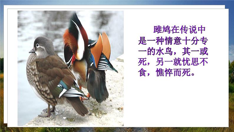 人教八下语文 第3单元 12《诗经二首》 PPT课件08