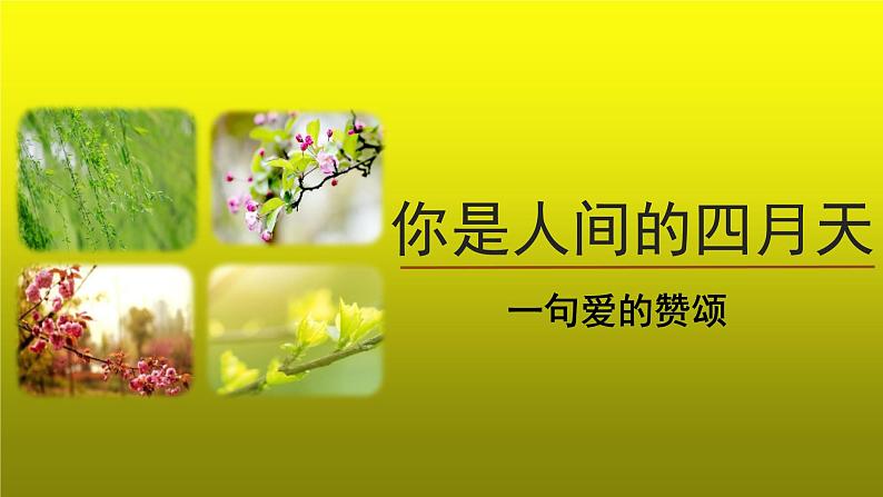 你是人间的四月天——一句爱的赞颂精品【教学课件】01