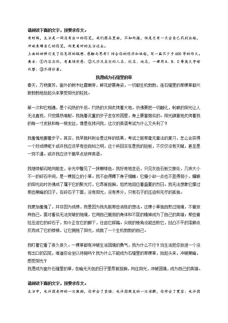 专题69 《奔向更好的日子》《我愿成为石缝里的草》《因你,我学会了坚强》《超越对手》-最新冲刺中考语文作文押题预测及优质范文展示第2页