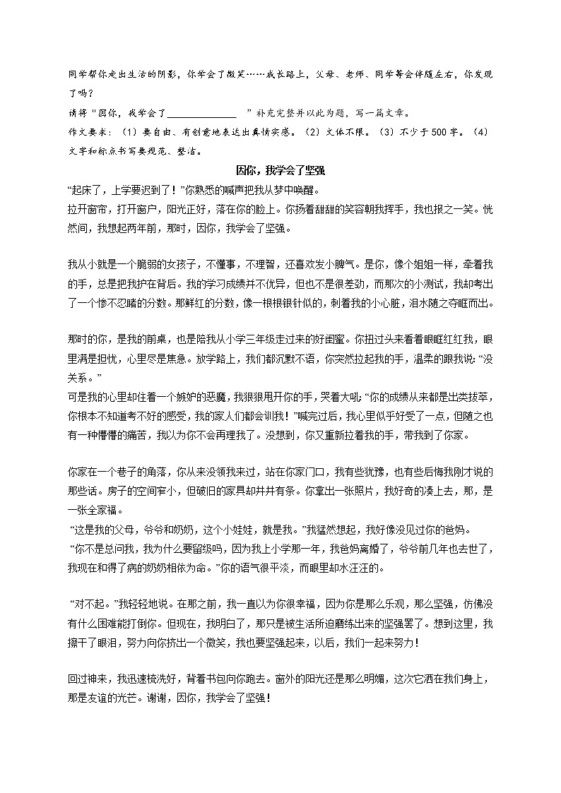 专题69 《奔向更好的日子》《我愿成为石缝里的草》《因你,我学会了坚强》《超越对手》-最新冲刺中考语文作文押题预测及优质范文展示第3页