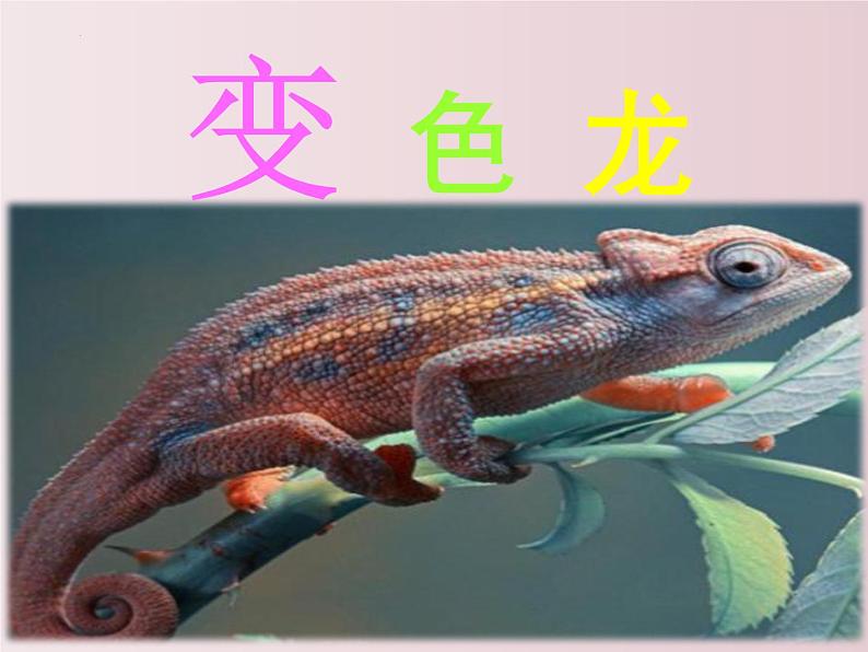 第06课 变色龙(课件)-【大单元教学】2022-2023学年九年级语文下册备课精选课件及教案第1页