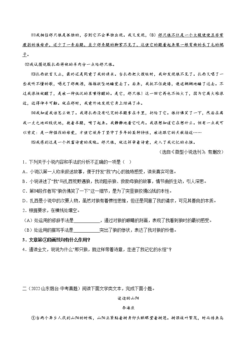 专题14:记叙文阅读之句段的作用【习题精练】-备战2023年中考语文一轮复习(全国通用) (原卷版)第2页