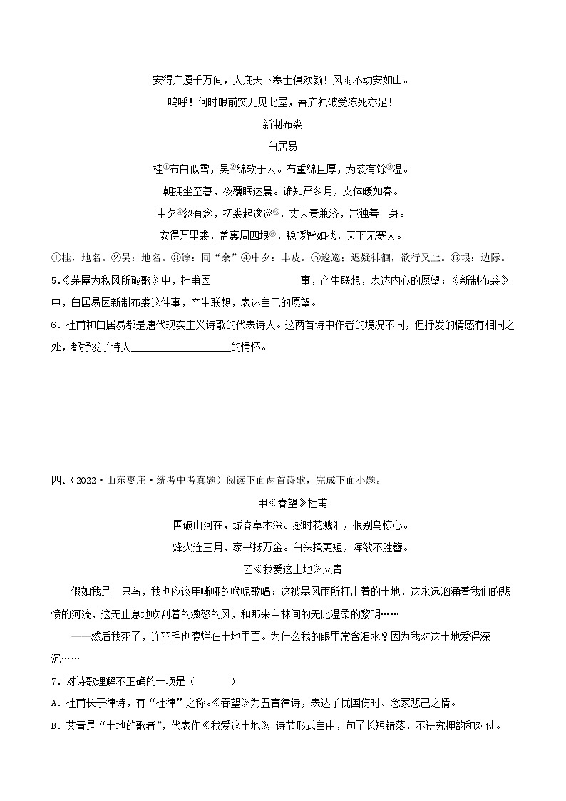 专题29:诗歌鉴赏之爱国忧民类【习题精练】-备战2023年中考语文一轮复习(全国通用) (原卷版)第2页