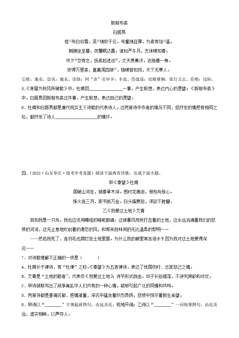 专题29:诗歌鉴赏之爱国忧民类【习题精练】-备战2023年中考语文一轮复习(全国通用) (解析版)第2页