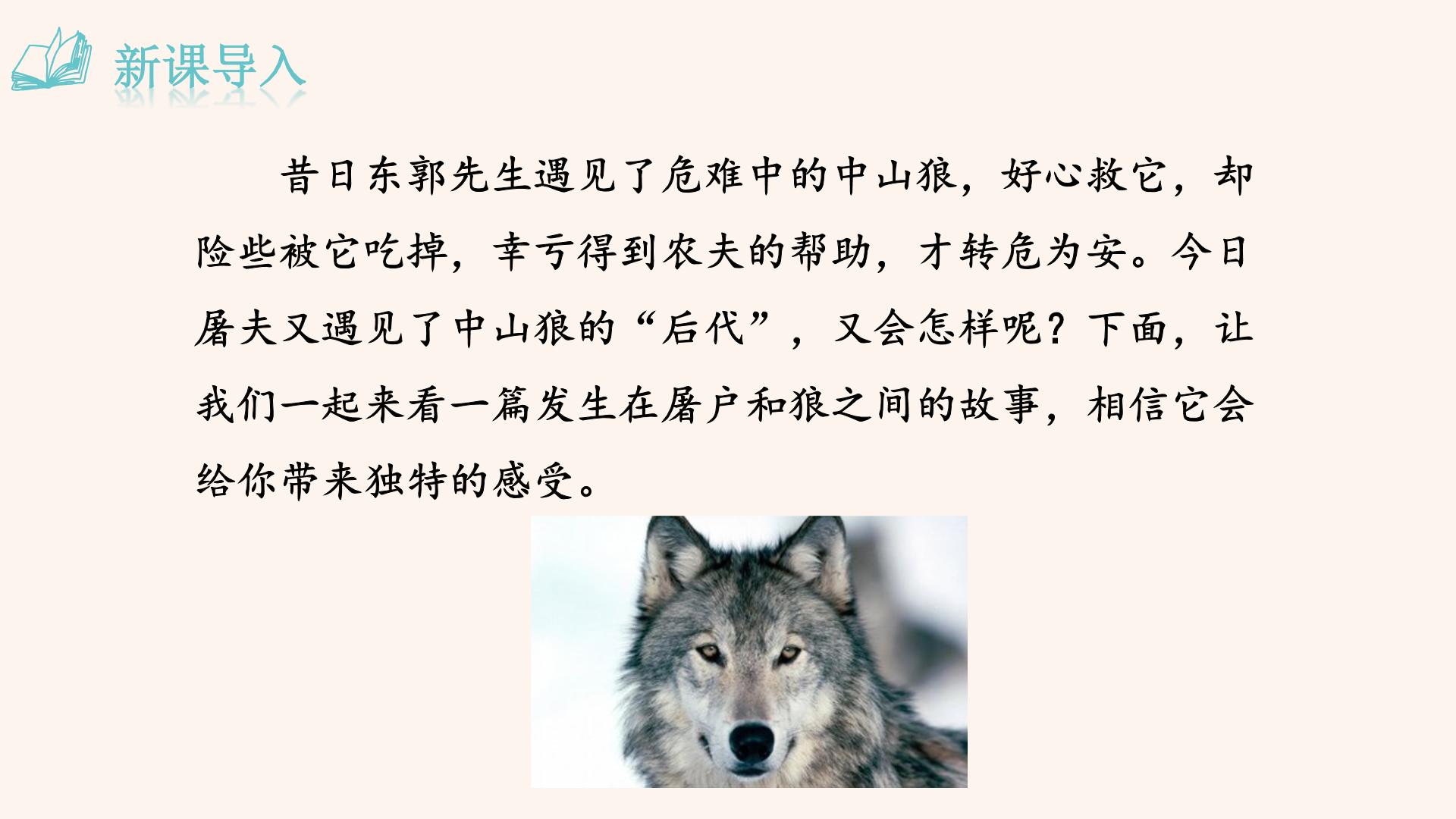 初中语文人教部编版七年级上册18 狼说课ppt课件