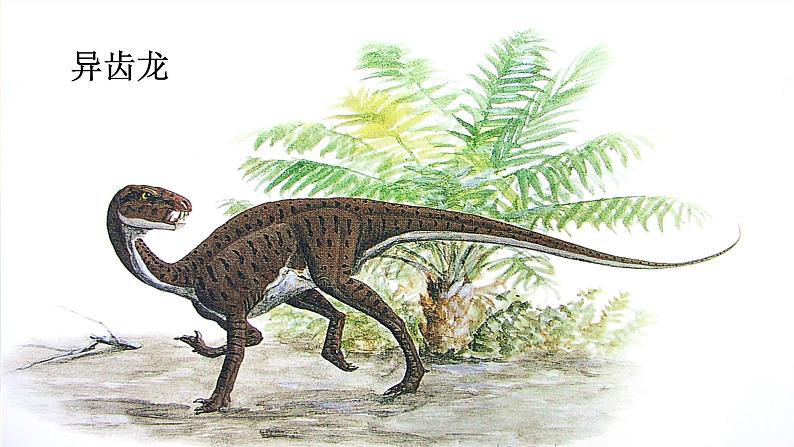 6 阿西莫夫短文两篇第4页