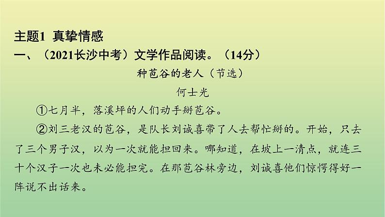 2023年中考语文一轮复习专题十四文学作品阅读课件第2页
