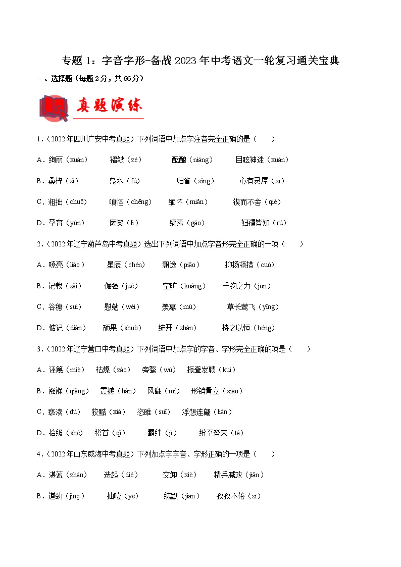 初中语文中考复习 专题01  字音字形【专题检测】-备战2023年中考语文一轮复习通关宝典（解析版）