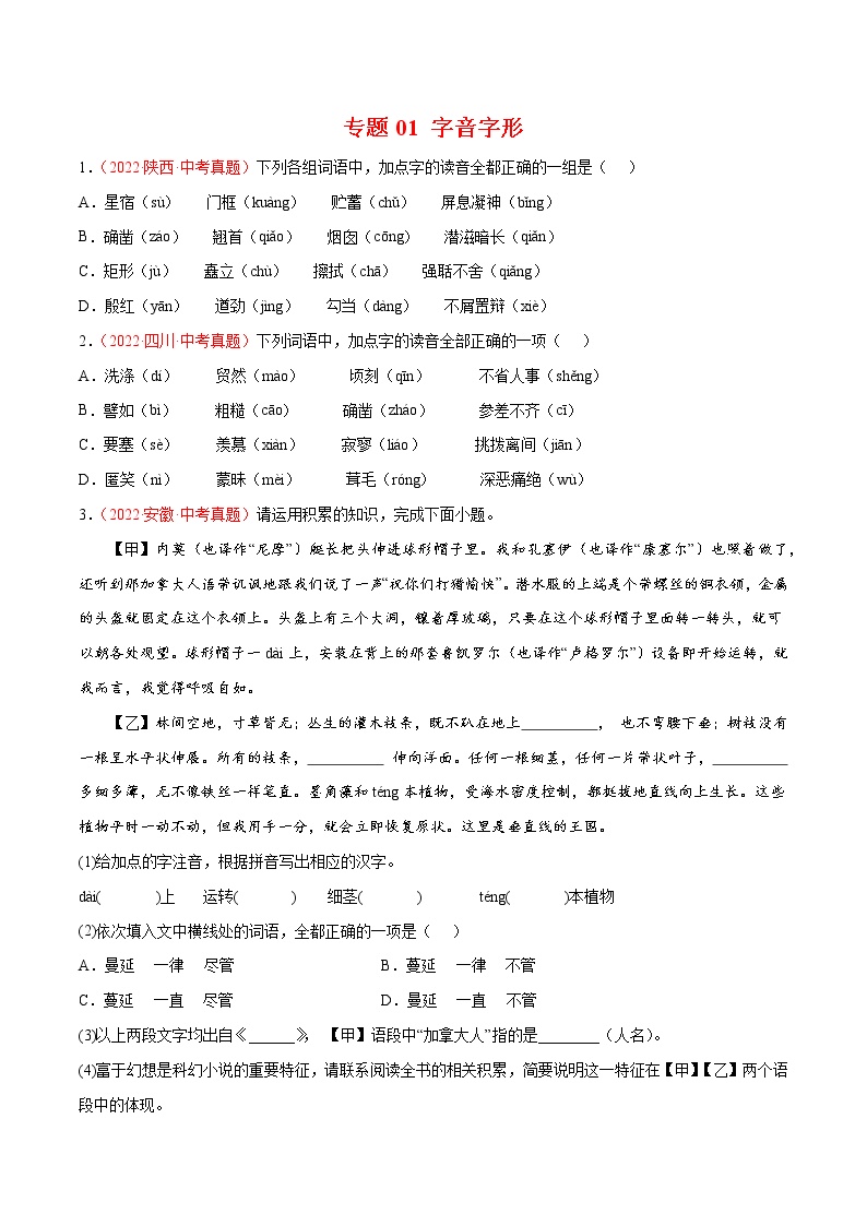 初中语文中考复习 专题01 字音字形-三年（2020-2022）中考语文真题分项汇编（全国通用）（原卷版）