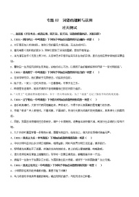 初中语文中考复习 专题02  词语的理解与运用（过关测试）（原卷版）
