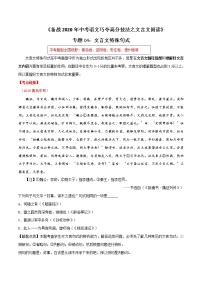 初中语文中考复习 专题04 文言文特殊句式(解析版)