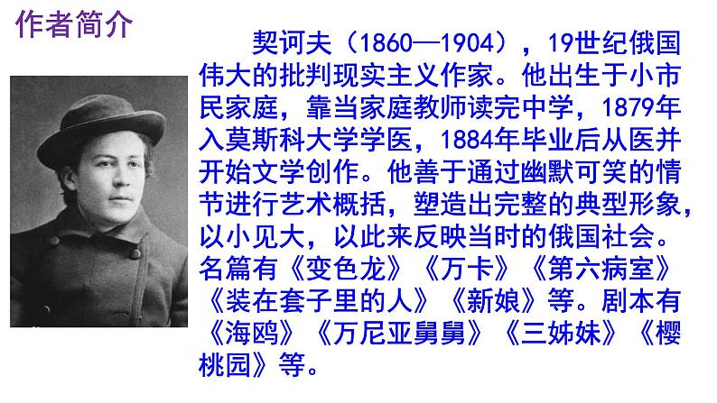 九下语文《变色龙》PPT课件第4页