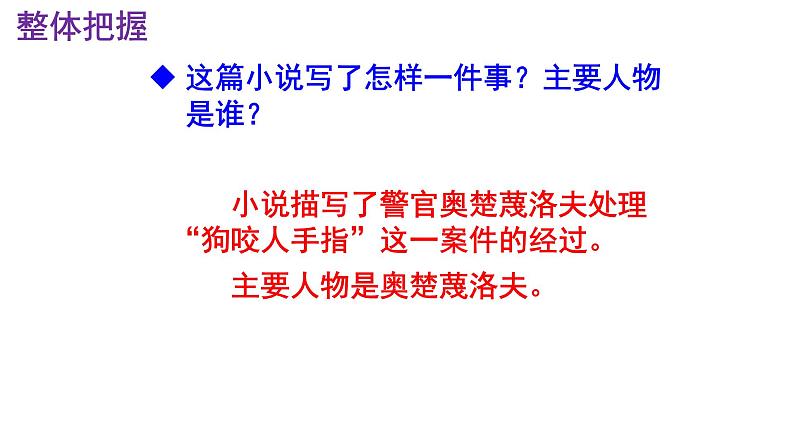 九下语文《变色龙》PPT课件第8页