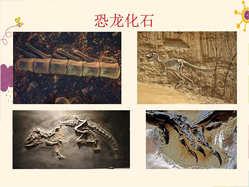 部编版八年级下册语文同步课件8时间的脚印第4页