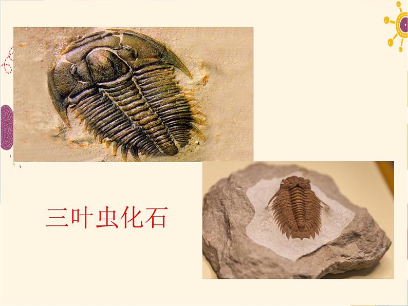 部编版八年级下册语文同步课件8时间的脚印第5页