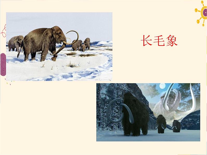 部编版八年级下册语文同步课件8时间的脚印第6页