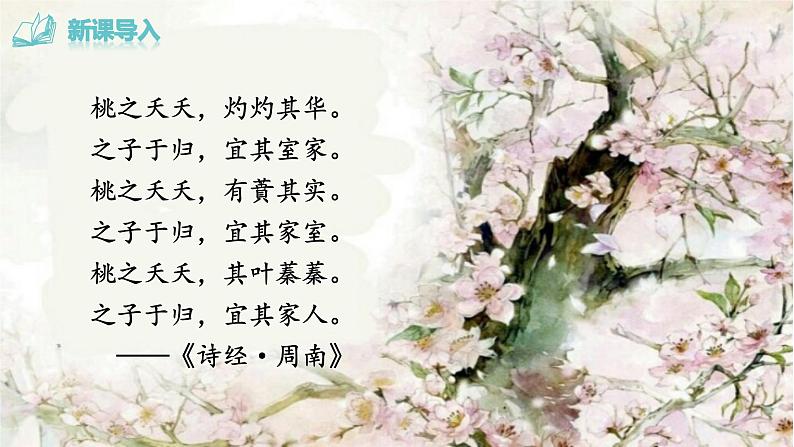 19《一棵小桃树》课件PPT+教案+导学案+说课稿+音视频素材02