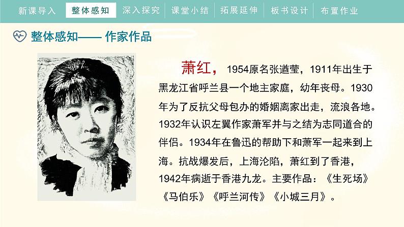 1.3《回忆鲁迅先生》课件+教案+练习07