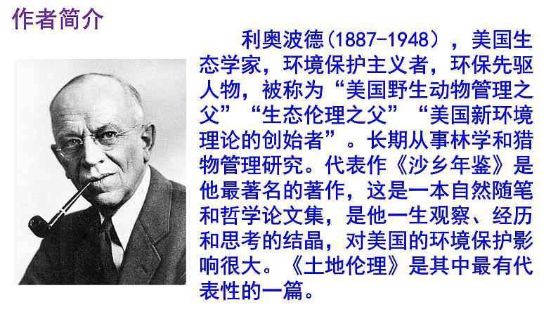 八下语文 7《大雁归来》实用课件04