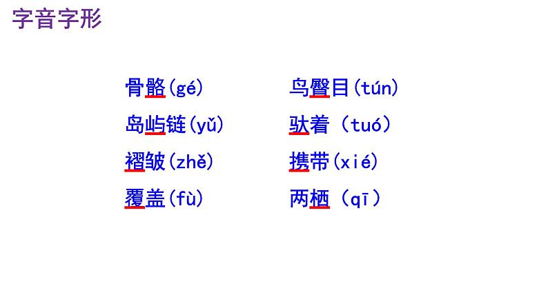 八下语文 6《恐龙无处不有》优秀课件05