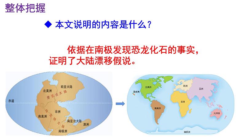 八下语文 6《恐龙无处不有》优秀课件07