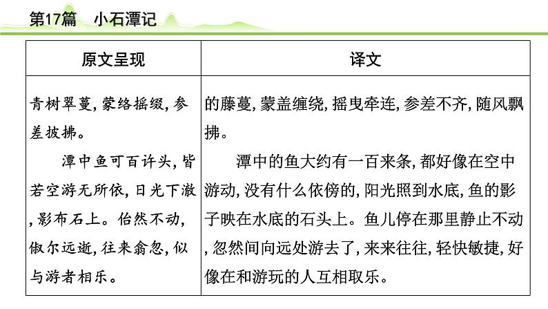2023年中考语文一轮专题复习:古诗文阅读之课内文言文逐篇梳理八年级第8篇《小石潭记》课件第3页