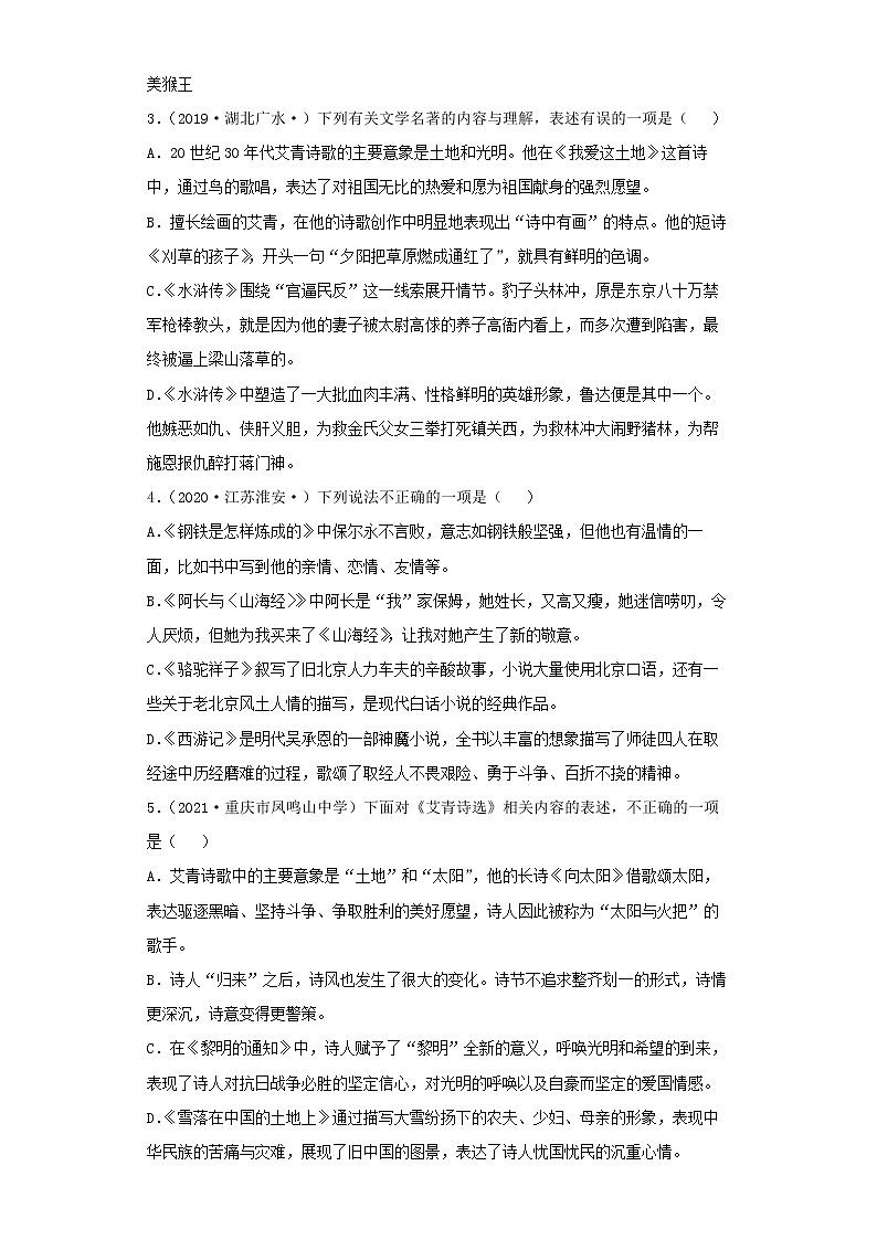 2022-2023 语文部编版新中考精讲精练 中考模拟卷(一)(原卷版)第2页
