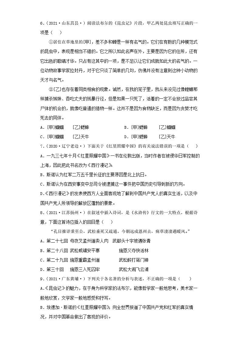 2022-2023 语文部编版新中考精讲精练 中考模拟卷(一)(原卷版)第3页