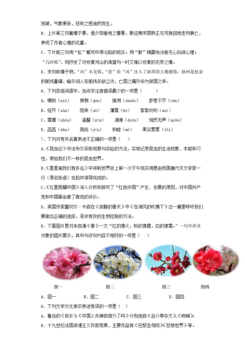 2022-2023 语文部编版新中考精讲精练 中考模拟卷(三)(原卷版)第2页