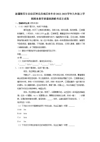 新疆维吾尔自治区阿克苏地区库车市2022-2023学年九年级上学期期末教学质量检测联考语文试卷（有答案）